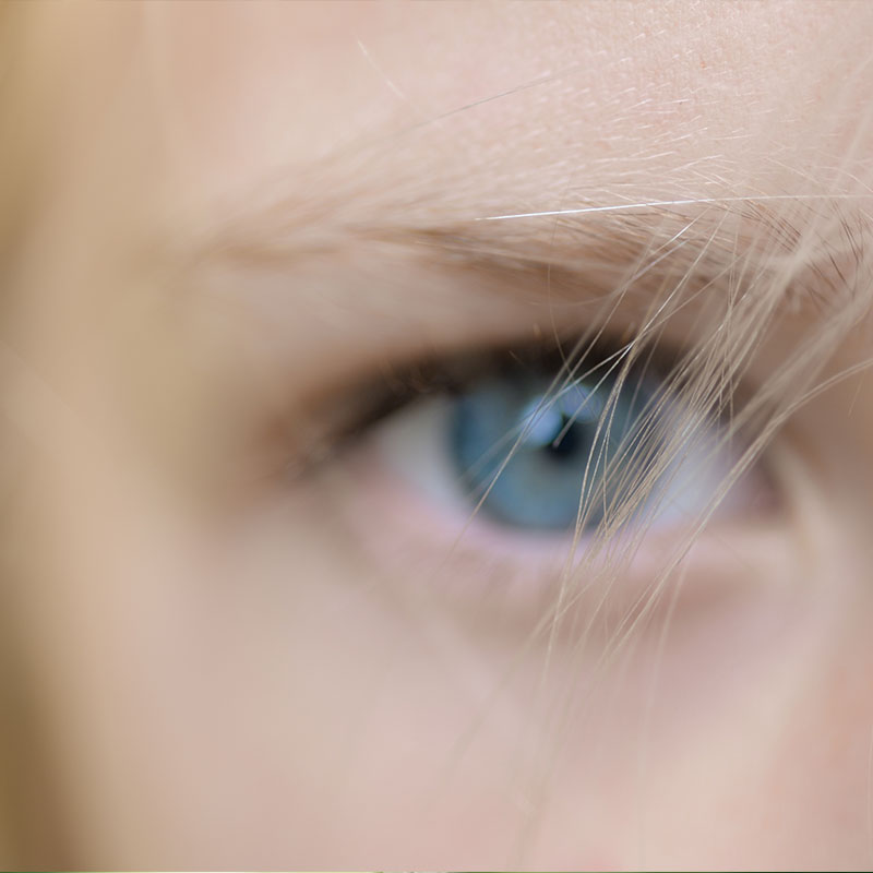 Was bringt die Zukunft der Friseurbranche - Neue Visionen, Konzepte und Technologien